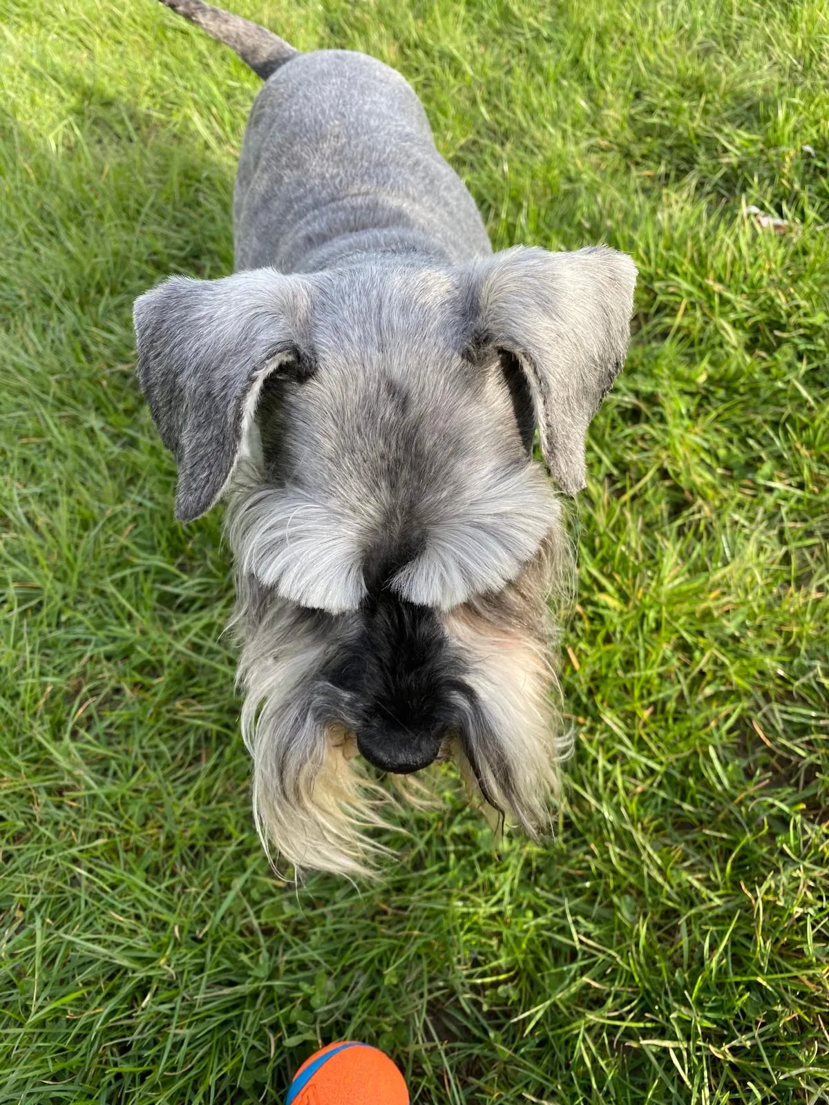 Margot, photo 2