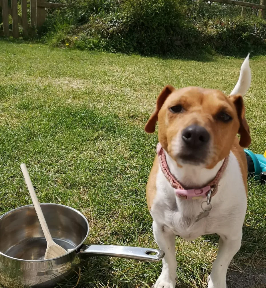 Portrait of Honey