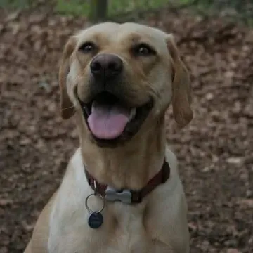 Photo of Delilah