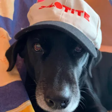 Photo of Molly