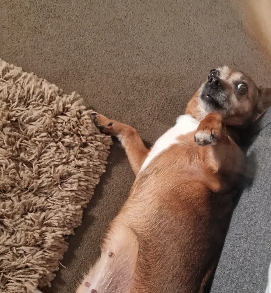 Portrait of Rosie
