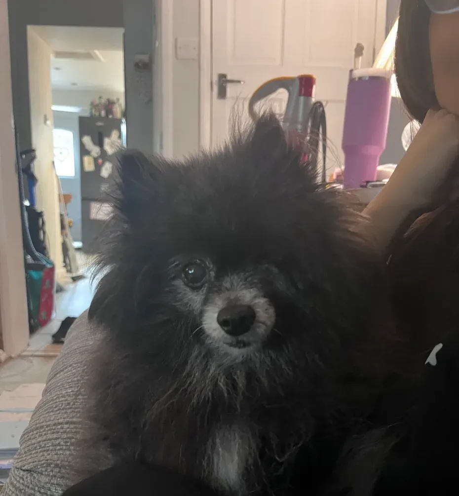 Portrait of Bella