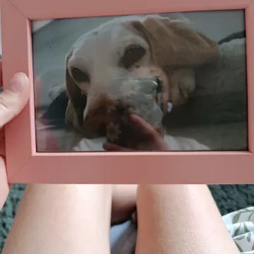 Photo of Bobby