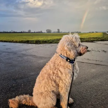 Photo of Holly