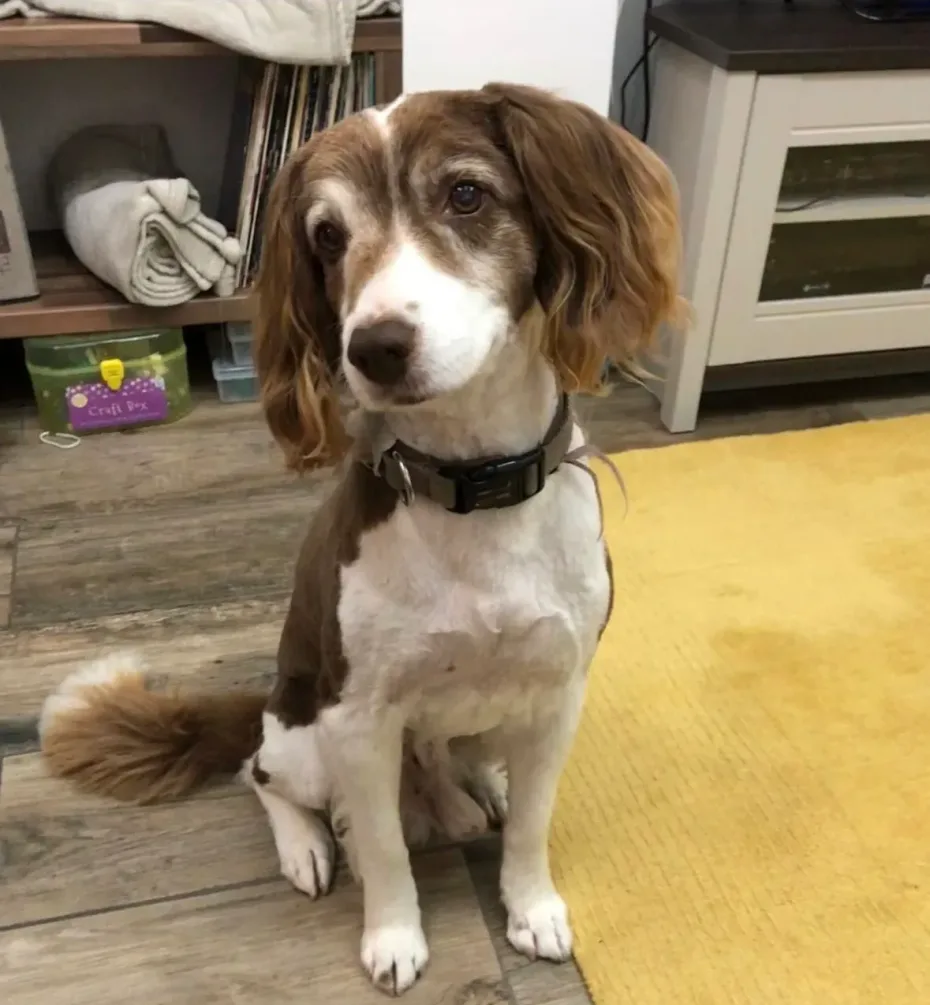 Portrait of Sammy