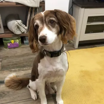 Photo of Sammy
