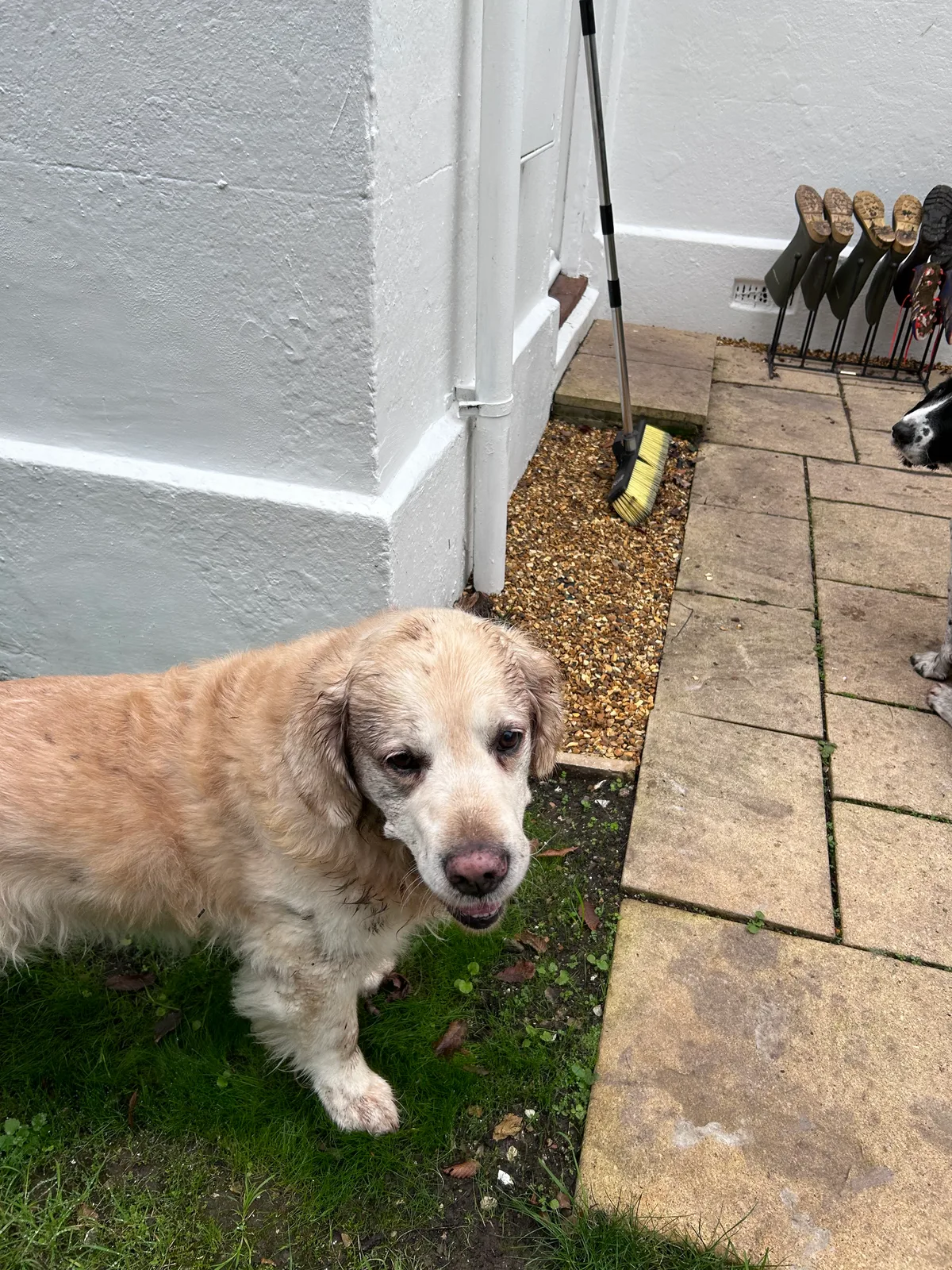 Missy, photo 2
