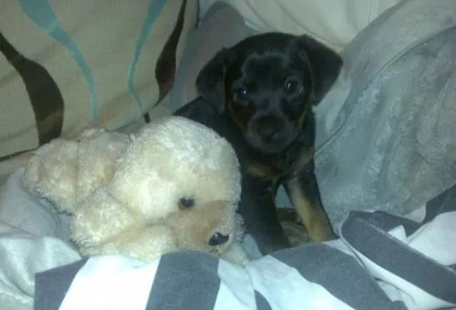 Wally, photo 2