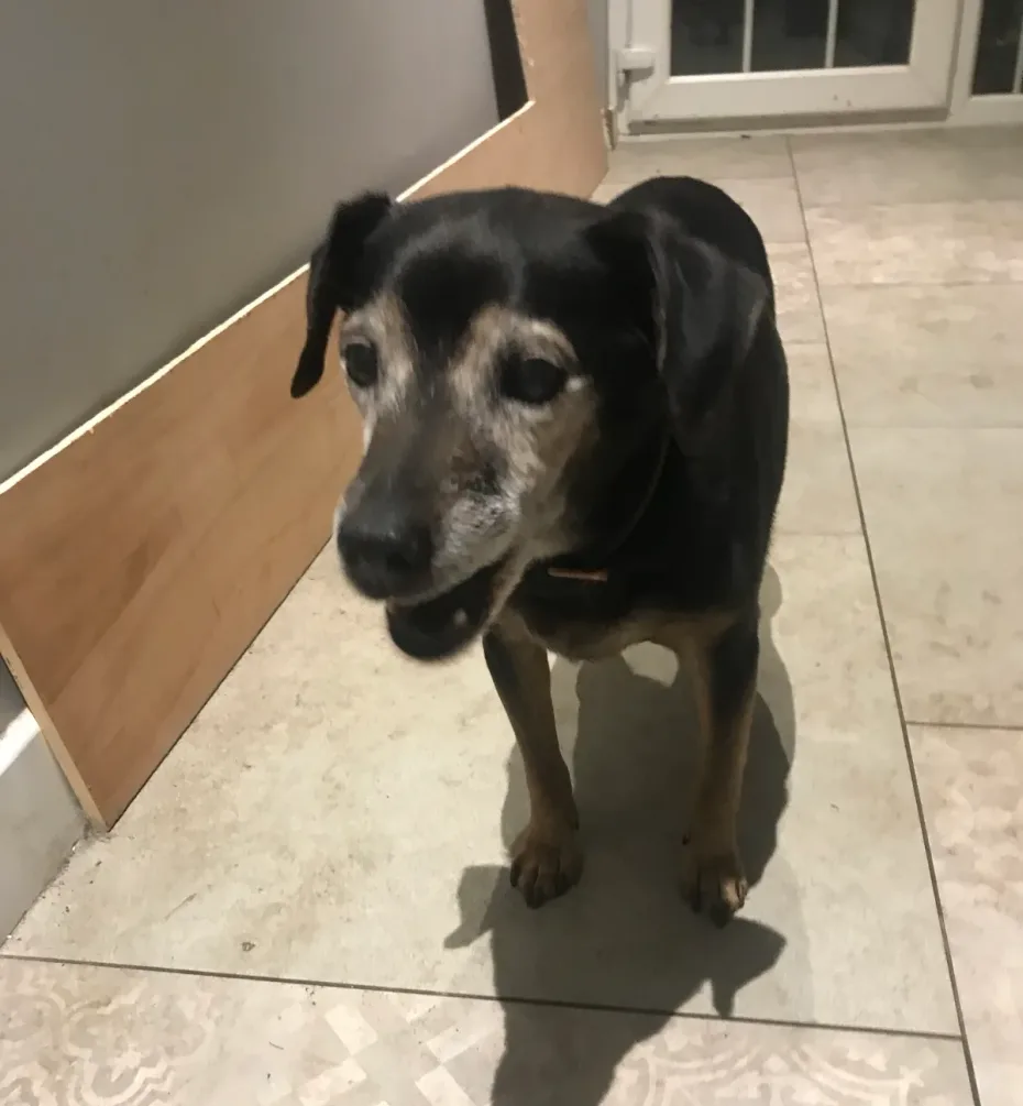 Portrait of Wally