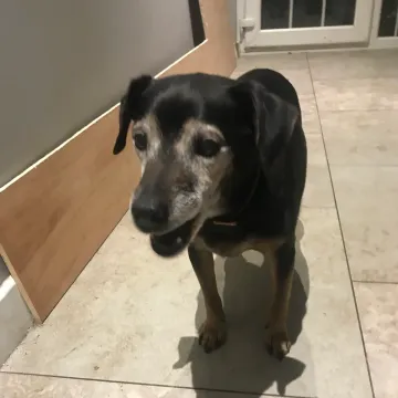 Photo of Wally