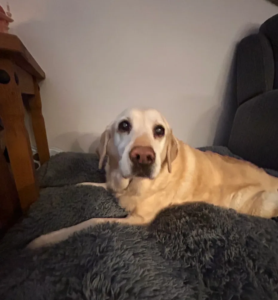 Portrait of Molly