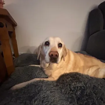 Photo of Molly