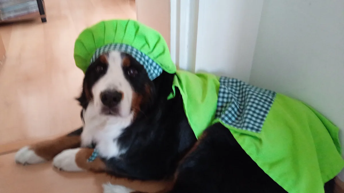 Minnie, photo 2