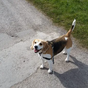Photo of Bo Bo