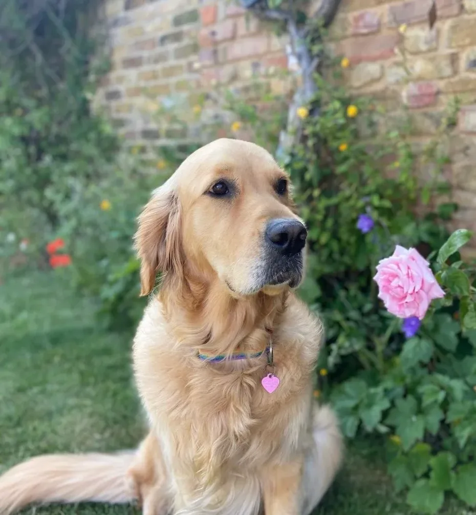 Portrait of Bella