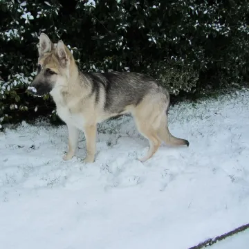 Photo of Eric