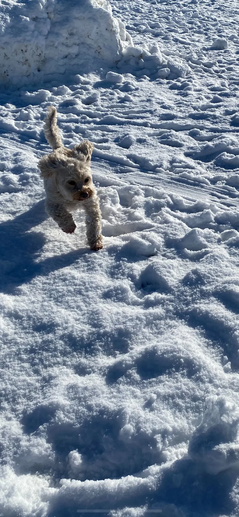 Lola, photo 2