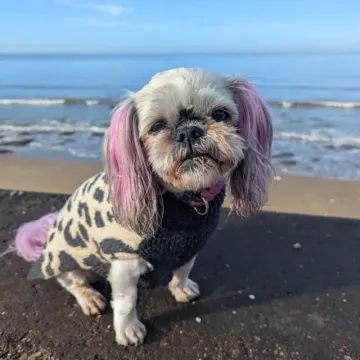 Photo of Barbara