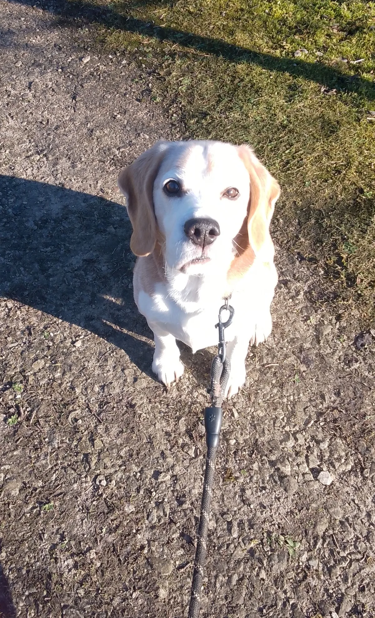 Mylo, photo 3