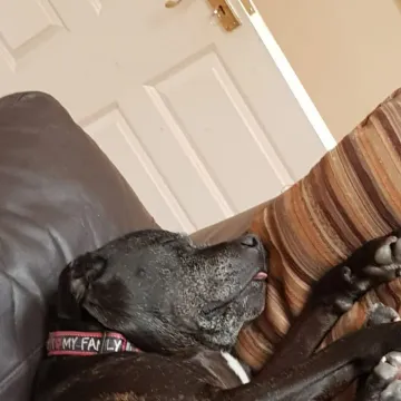 Photo of Sam