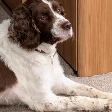 Photo of Sam