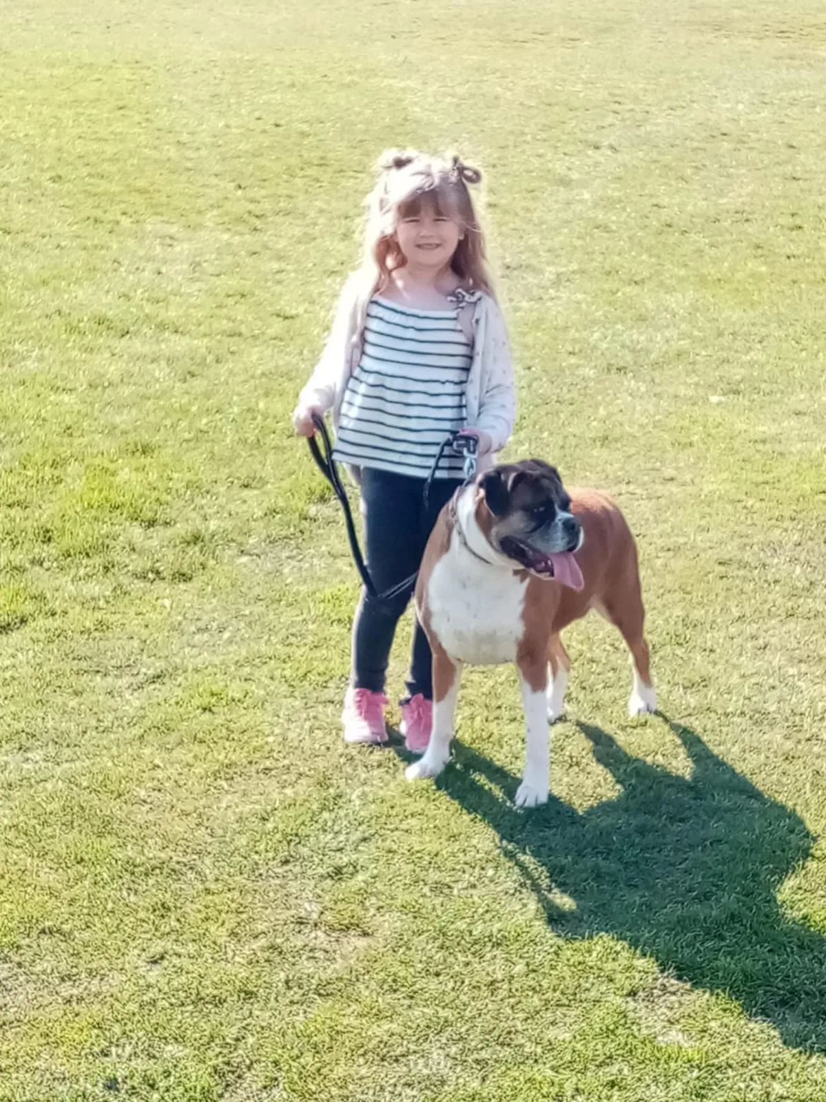 Millie, photo 3