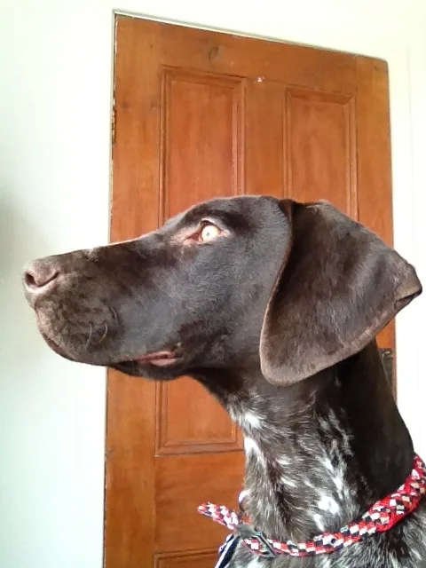 Betty, photo 2