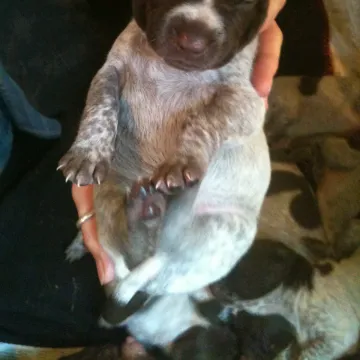 Photo of Betty