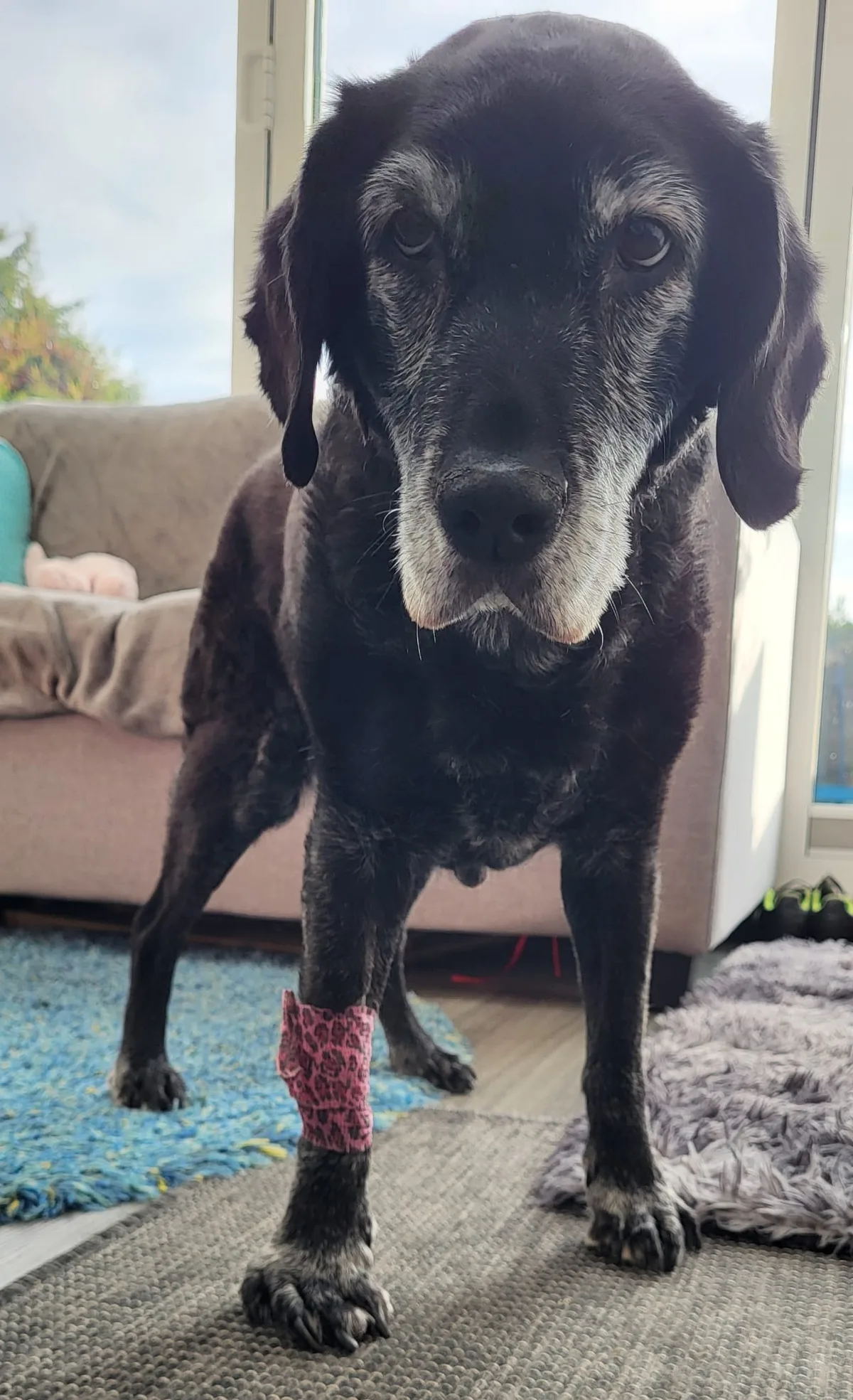 Ruby, photo 3