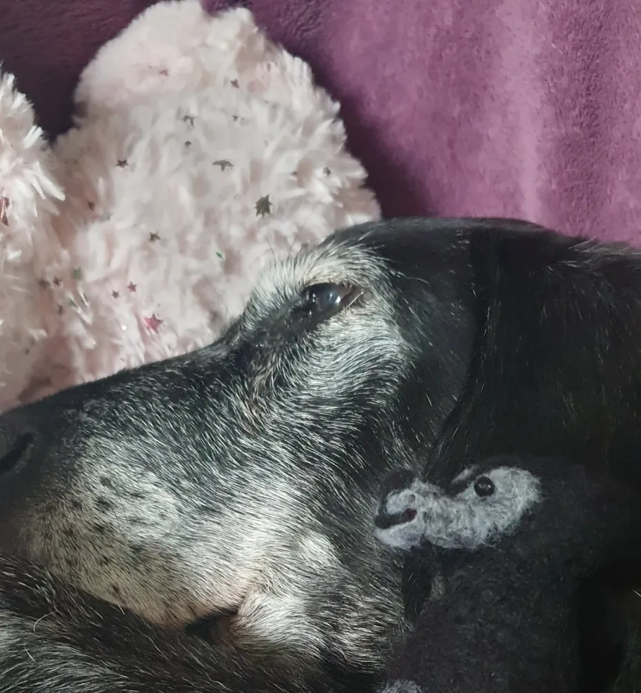 Portrait of Ruby