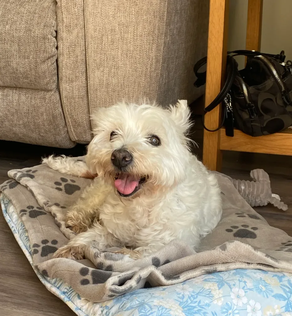 Portrait of Maggie