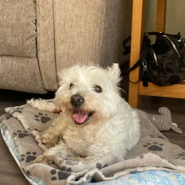 Photo of Maggie