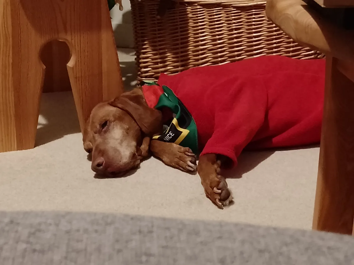 Zola, photo 2