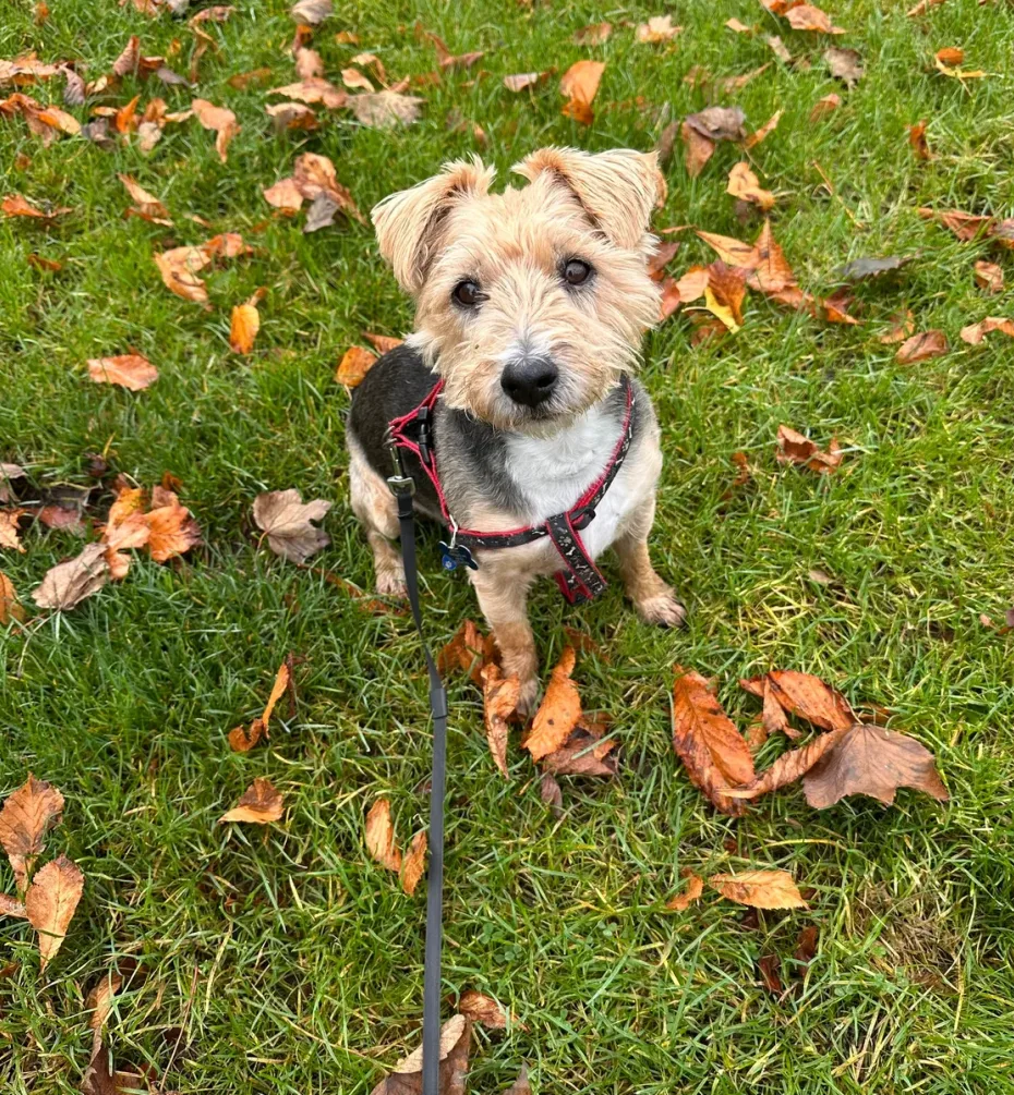 Portrait of Charlie