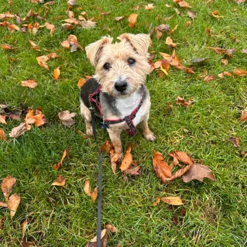 Photo of Charlie