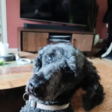 Photo of Mia