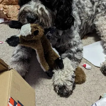 Photo of Mollie