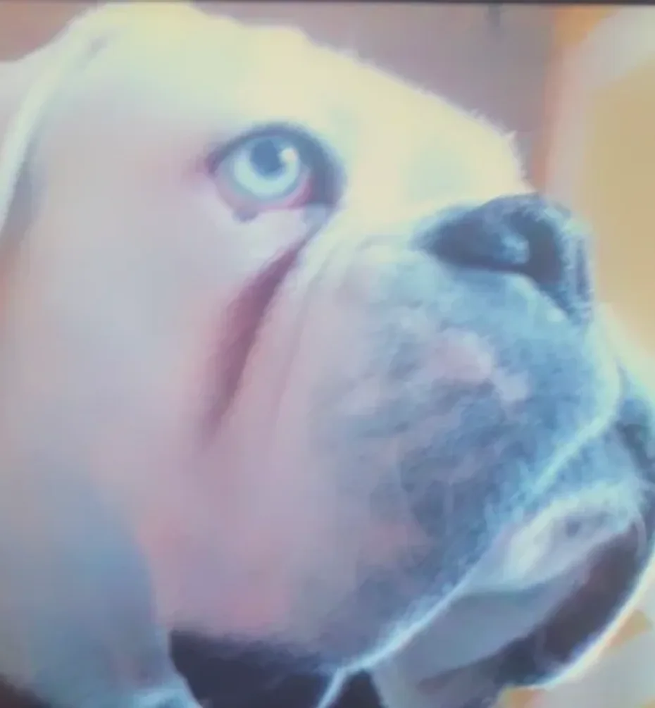 Portrait of Bluebell