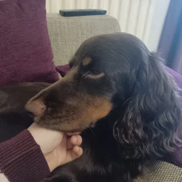 Photo of Jasper