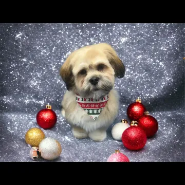 Photo of Mylo