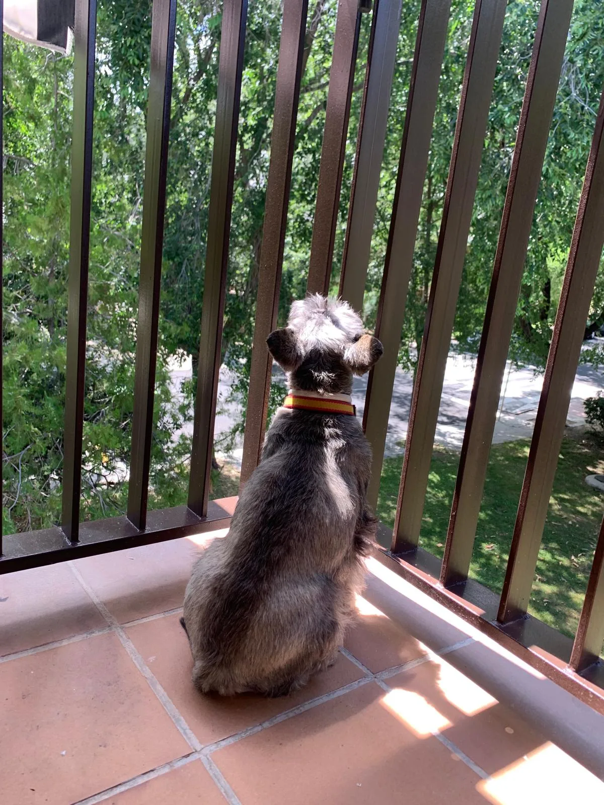 Max, photo 5