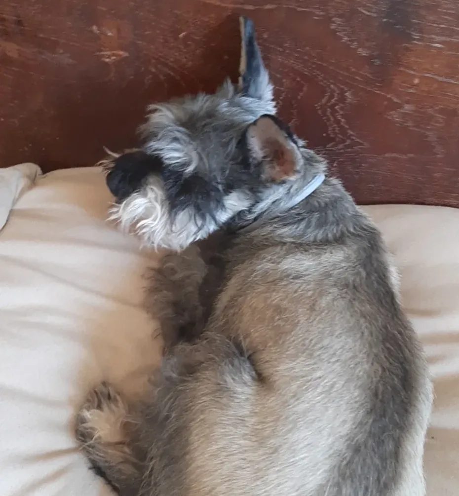 Portrait of Max