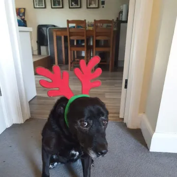 Photo of Skye