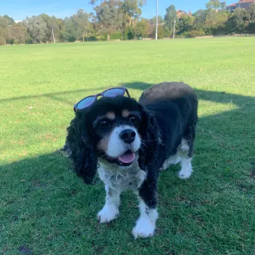 Photo of Lexie