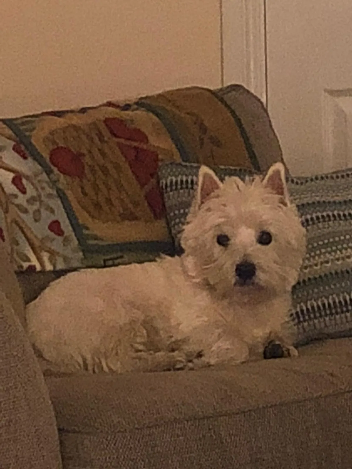 Brian, photo 2