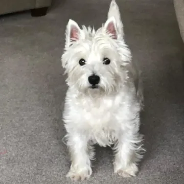 Photo of Brian