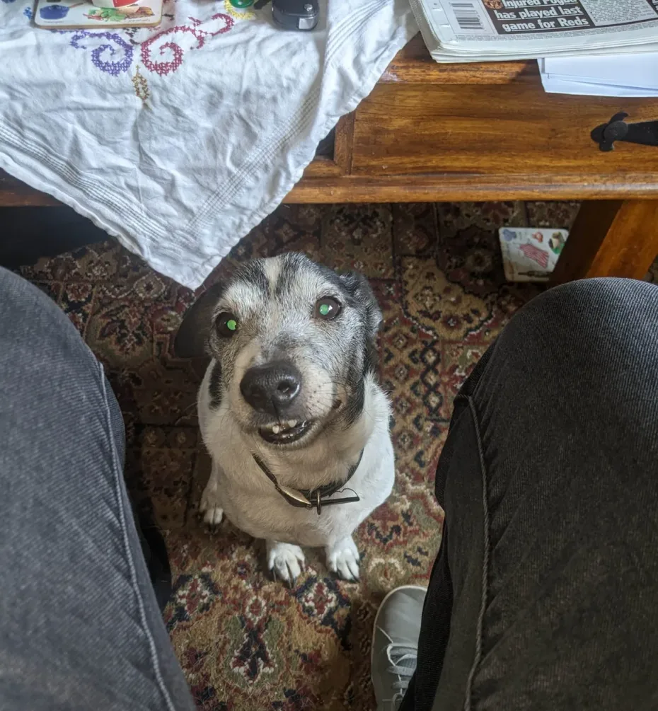 Portrait of Jack
