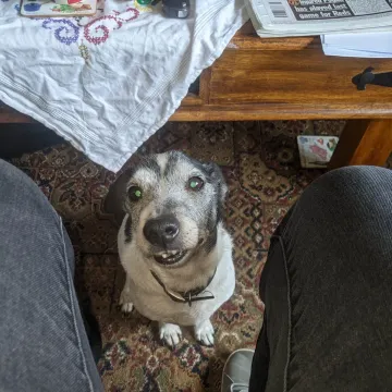Photo of Jack