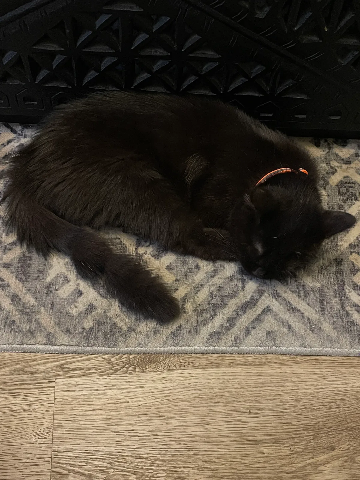 Brownie, photo 3
