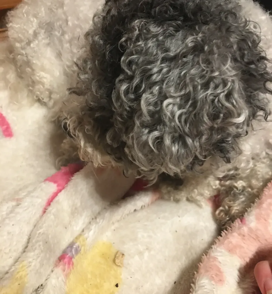 Portrait of Lexi